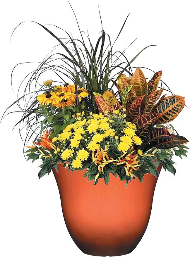 Classic Home and Garden Honeysuckle Resin Flower Pot Planter, Orange Ember, 13" (Pack of 3) by GreenHaven Gardens
