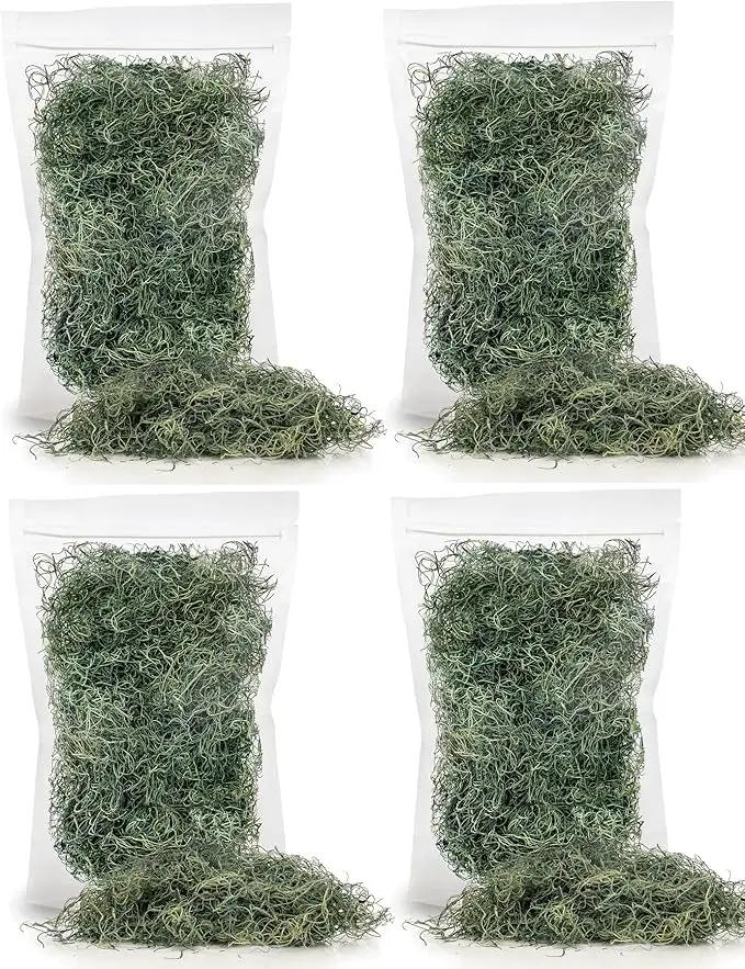 Premium Spanish Moss in Basil| Natural Preserved - Great Ground Cover - Filler for Potted Plants - by GARDENERA - 2 Quart Bag by GreenHaven Gardens