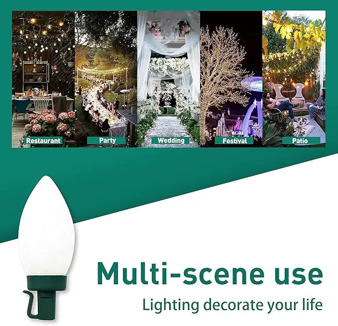 C9 Christmas Lights Outdoor 50 LED Cold White Strawberry Waterproof String Lights Xmas Tree Indoor Decoration Plug in 34.5 Feet Used for Home Festive Courtyard Patio Garden(Cold White) by GreenHaven Gardens