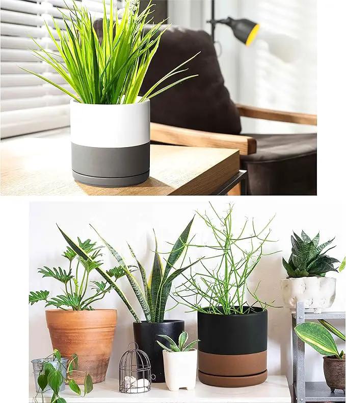 D'vine Dev Set of 2 Plants Pots, 6 Inch Ceramic Planter Pot for Plants with Drainage Hole and Saucer, White-Grey/Black-Tan, 94-V-C-C by GreenHaven Gardens