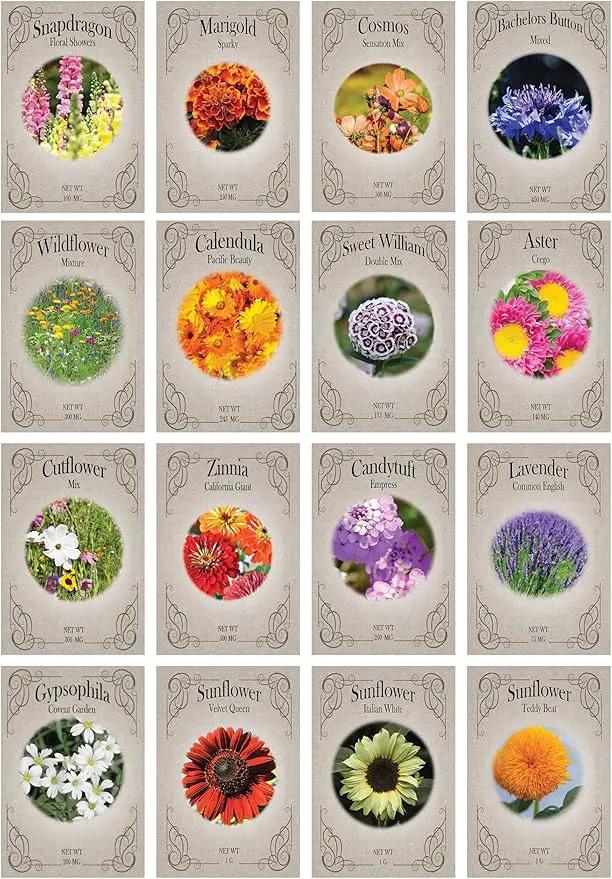 Set of 16 Heirloom Flower Seeds - Non-GMO - 16 Varieties - Assorted Flower Seeds - Individually Sealed Packs by GreenHaven Gardens