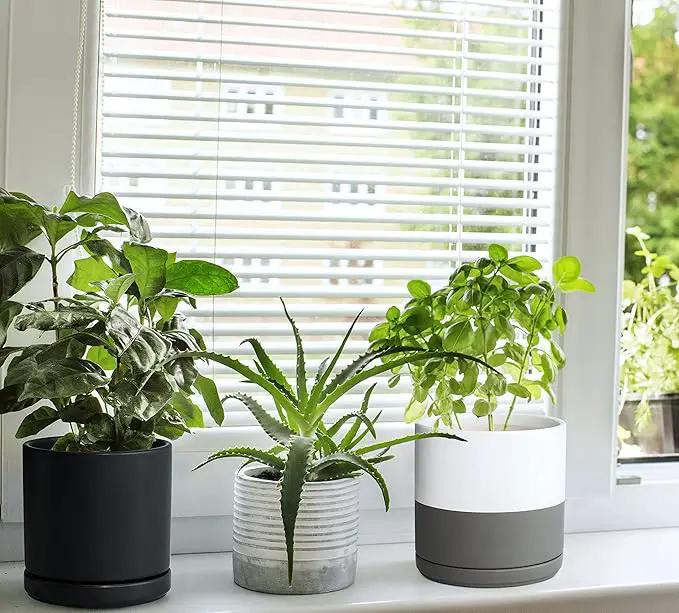 D'vine Dev 6 Inch Ceramic Planter Pot with Drainage Hole and Saucer, Indoor Cylinder Round Flower Pot, White/Speckled Grey, 94-O-C-6 by GreenHaven Gardens