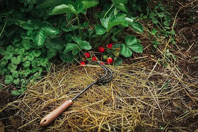 Barebones Cultivator - Weed Remover Tool - Garden Rake and Weeding Tool for Yard Work - Stainless Steel Cultivator for Raking Soil (Walnut/Black) by GreenHaven Gardens