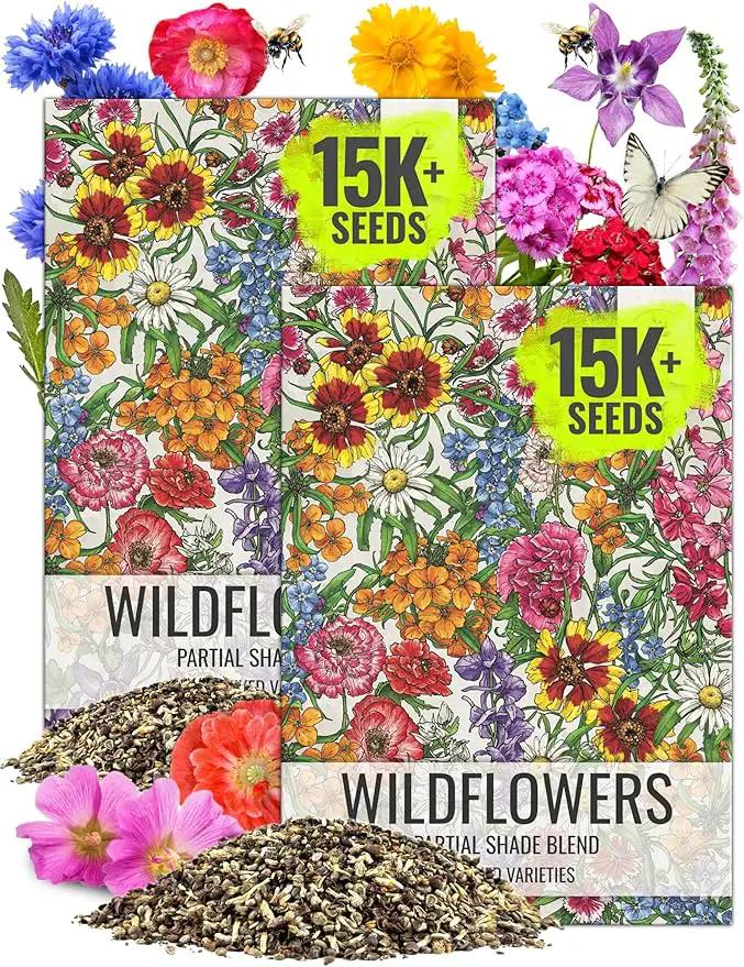 Seed Needs Partial Shade Wildflower Seed Mix for Planting | 2 Packs (1 Ounce Each) 14+ Varieties Open Pollinated Annual & Perennial Species | Flower Seeds Shade Tolerant | Bulk by GreenHaven Gardens