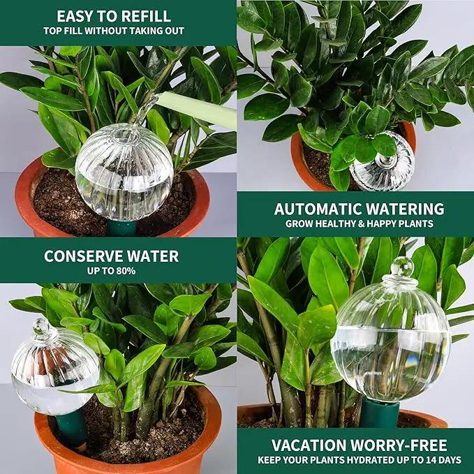 23 oz Extra Large Plant Watering Globes Top Fill, Clear Glass Water Bulbs with Terracotta Spikes Adapter, Slow Release Vacation Plant Watering Devices, Automatic Drip Irrigation, 2 Pack by GreenHaven Gardens