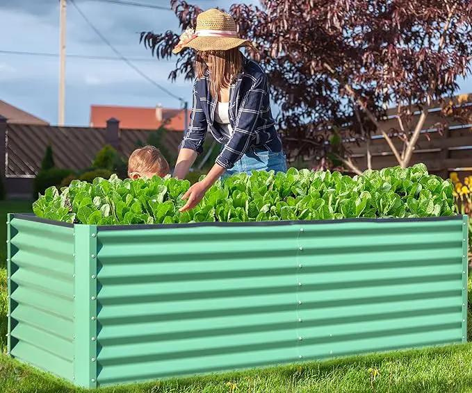 Domi Galvanized Raised Garden Bed, Outdoor Planter Garden Boxes Large Metal Planter Box for Gardening Vegetables Fruits Flowers, Green (8x4x2ft) by GreenHaven Gardens