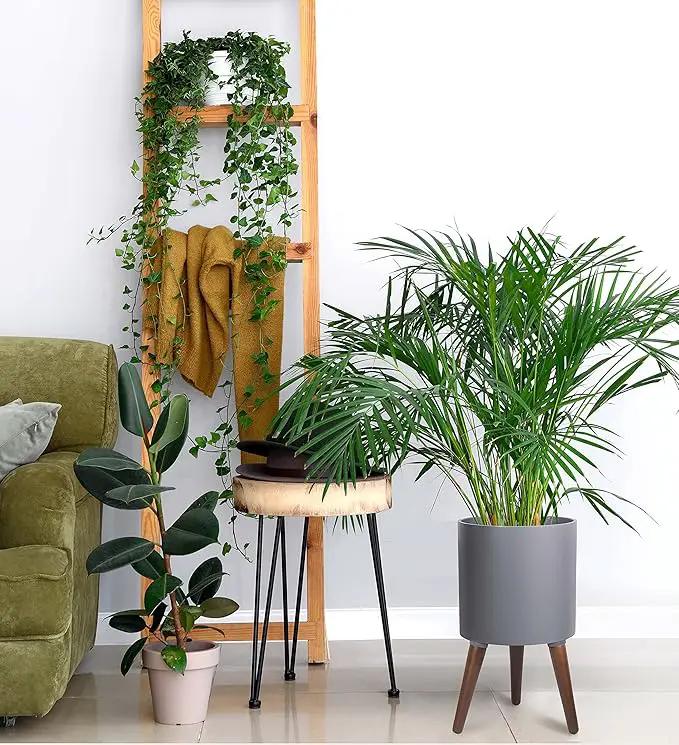 D'vine Dev 10 Inch Planter Pot with Stand, Mid-Century Tall Plant Pot with Legs for Indoor Plants, Medium, Grey, 88-O-B-3 by GreenHaven Gardens