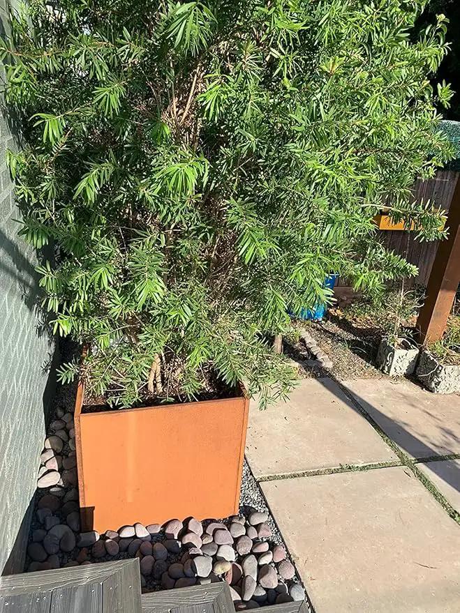 Corten Steel Planter Box Metal Square Planters Steel Large Planter Outdoor Tall Plant Durable Antique Detached for Commercial Residential Patio Deck and Backyard 26 Inch by GreenHaven Gardens