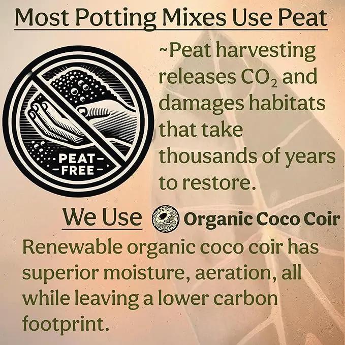 Craft Aroid Potting Mix- Elite Alocasia, Philodendron, Monstera Soil Mix, Chunky, Well Draining Potting Soil for Indoor Plants, All Tropical Plants & Houseplants, Synthetic & Peat Free 2QT by GreenHaven Gardens
