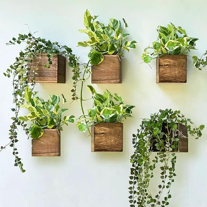 LaLaGreen Wood Planter Boxes for Indoor Plants (6 Pack, 4x4 Inch) Small Square Wall Mounted Planters Flower Pot, Herb Wooden Box Hanging Plant Holder Outdoor Balcony Vertical Garden Modern Home Decor by GreenHaven Gardens