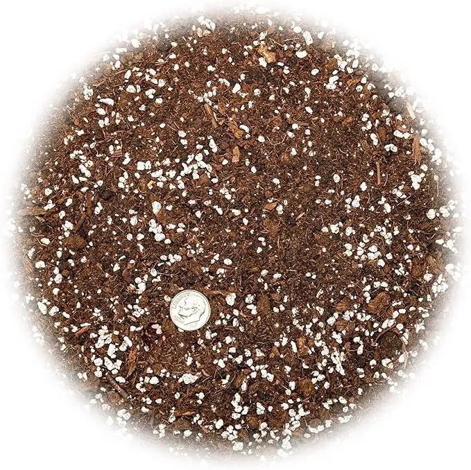 House Plant and Tropical Plant Potting Soil - Re-Potting Soil for All Types of Indoor House Plants - 20 Quart by GreenHaven Gardens