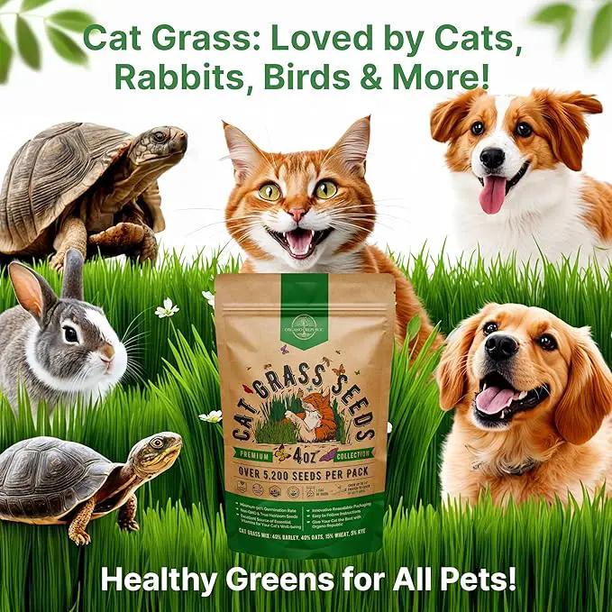 Cat Grass Seeds Mix - 5,200 Non-GMO Heirloom Seeds for Cats & Pets, 4 oz Pack for Growing Fresh Barley, Oat, Rye & Wheat Grass Seeds for Planting, Indoor Plants for Pets, Hairball Remedy for Cats by GreenHaven Gardens