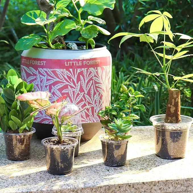 Bonviee 36 Packs 3.5/4/5 Inch Clear Nursery Pots with Humidity Domes, Variety Sizes Seed Starting Pots with Drainage Holes, Transparent Garden Containers for Succulents, Flowers and Cactus-Clear by GreenHaven Gardens