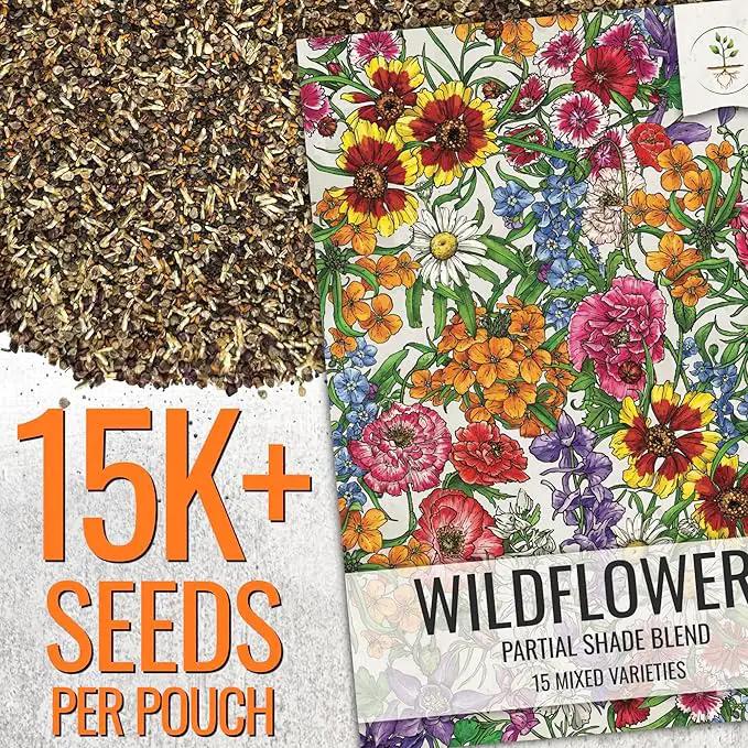 Seed Needs Partial Shade Wildflower Seed Mix for Planting | 2 Packs (1 Ounce Each) 14+ Varieties Open Pollinated Annual & Perennial Species | Flower Seeds Shade Tolerant | Bulk by GreenHaven Gardens