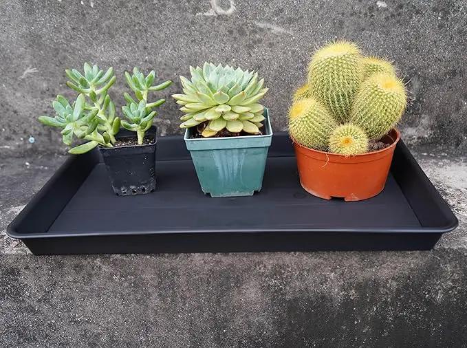 2 Pack Plant Growing Nursery 1020 Trays, Plant Saucer Tray, Heavy Sturdy Seed Starting Trays, Plant Saucer for Indoors No Holes, Seed Starter Growing Tray (22"x11.2", Black) by GreenHaven Gardens