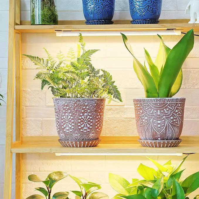 Gepege 6 Inch Beaded Ceramic Planter Set of 2 with Drainage Hole and Saucer for Plants, Indoor-Outdoor Large Round Succulent Orchid Flower Pot by GreenHaven Gardens