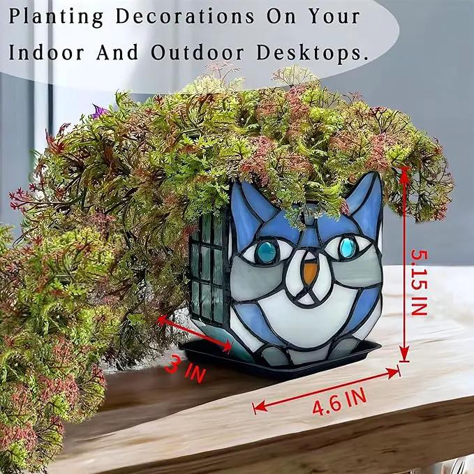 Indoor Plant Display Glass Container, Unique Pots for Plants, Glass Container Decoration,Suitable for Growing Small Plants 4.6x5.15x3 in （Excluding Plants） by GreenHaven Gardens