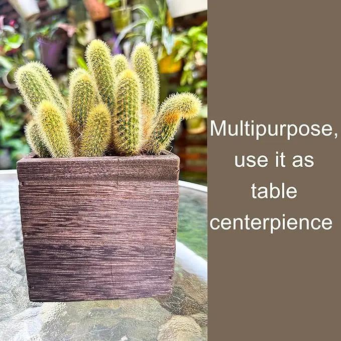 LaLaGreen Wood Planter Box for Plants (2 Pack, 4x4 Inch) Small Square Wall Planters for Indoor Plant, Window Hanging Flower Pot Wooden Boxes for Table Centerpiece Herb Balcony Home Garden Office Decor by GreenHaven Gardens
