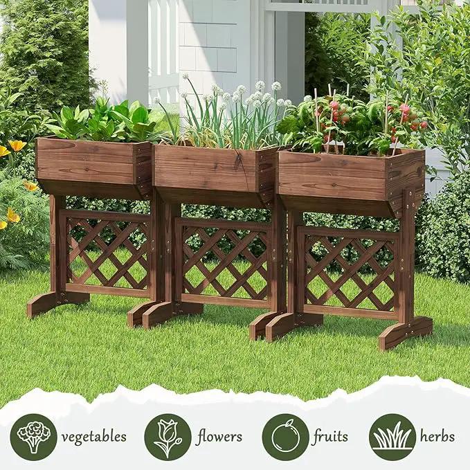Raised Garden Bed, Standing Vertical Horticulture Planter Box for Backyard, Patio, Balcony, Planter for Flowers Herbs Vegetables for Indoor & Outdoo Decor with Trellis (Carbonized) by GreenHaven Gardens