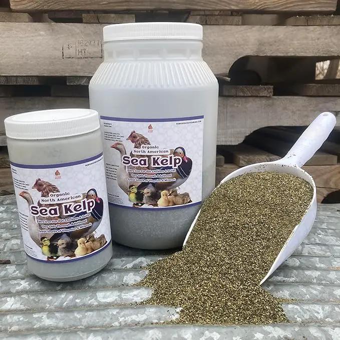 Organic Kelp for Chickens & Duck Feed (1 Pound): Chicken Vitamins | Chicken Supplements | Vitamins for Chickens | Pampered Chicken Mama by GreenHaven Gardens