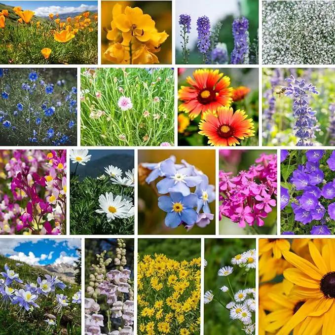 Rocky Mountain Wildflower Seeds Mix - 4 oz Seed Pouch - 22 Wild Flower Seed Varieties - Annuals, Perennials and Bi-Annuals - Flower Garden by GreenHaven Gardens