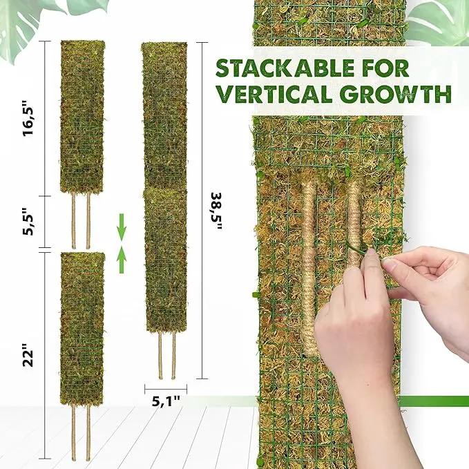 DUSPRO Flat Mesh Moss Poles for Climbing Plants Monstera Stackable Moss Pole for Plants with Real Moss Moss Plant Pole for Potted Plants Handmade Moss Stick for Indoor Plants Grow Upward 2 Pack 22” by GreenHaven Gardens