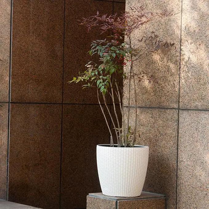 Dexceder 18x17 Inches Rattan Self Watering Planter Indoor Outdoor, Inner Pot Design, Thickened Table Flower Plant Pot with Water Level Indicator (Ivory White) by GreenHaven Gardens
