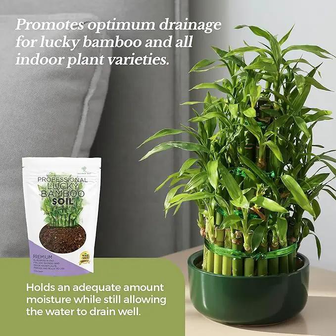Professional Lucky Bamboo Soil | Large 2.2 Quarts Ready to Use for Lucky Bamboo Plants | Peat Moss, Coco Coir, Perlite, Dolomite | Made in USA by GreenHaven Gardens