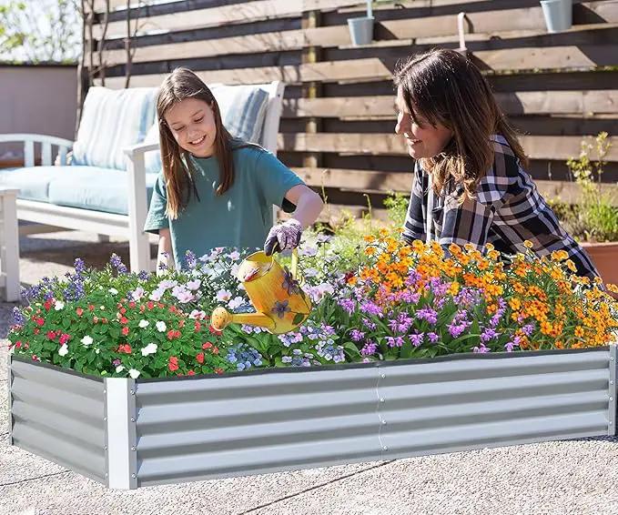 Domi Galvanized Raised Garden Bed, Outdoor Planter Garden Boxes Large Metal Planter Box for Gardening Vegetables Fruits Flowers, Silvery (6x3x1ft) by GreenHaven Gardens