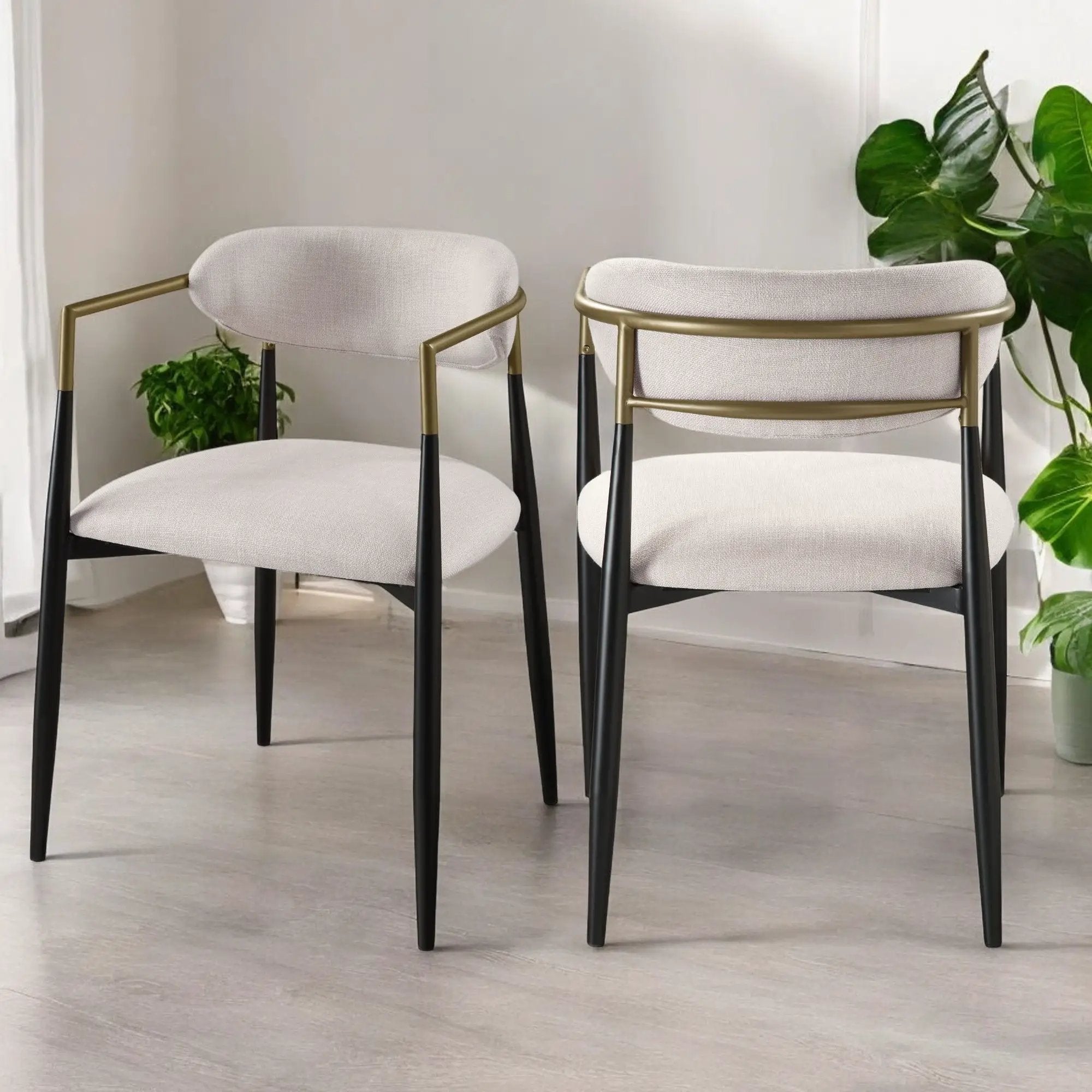 Jaramillo - Contemporary Side Chair (Set of 2) by HouseOfZazla