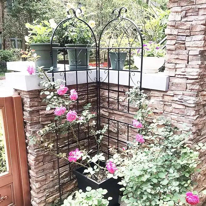 2 Pack Metal Garden Trellis for Climbing Plants 71" x 19.7" Outdoor Fence Rustproof Garden Trellis Support Roses Flower Lawn, Black 6FT by GreenHaven Gardens