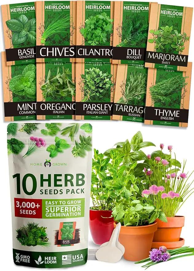 HOME GROWN 10 Herb Seeds for Planting 3,000+ Non-GMO Heirloom Seeds | Extra Large Variety Pack Herb Kit – Indoor Outdoor & Hydroponic | Culinary Seed Set | Grow Your Own Herbs | Gift for Beginners by GreenHaven Gardens