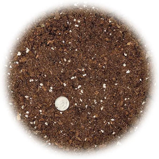 Money Tree Potting Soil, Soil Mix for Planting or Repotting Guiana Chestnut, Soil Blended to Properly Grow Money Tree Plants - (5 Quart Bag) by GreenHaven Gardens