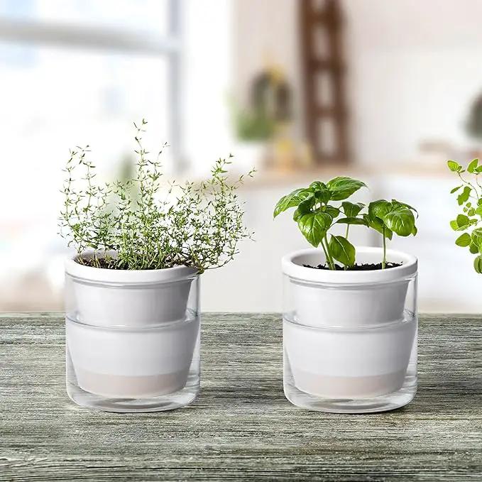 D'vine Dev 4 Inch Design Self Watering Planter for Indoor Plants, White Terracotta Pots with Cylinder Glass Cup, Set of 4, 37-Z-A-2-F by GreenHaven Gardens