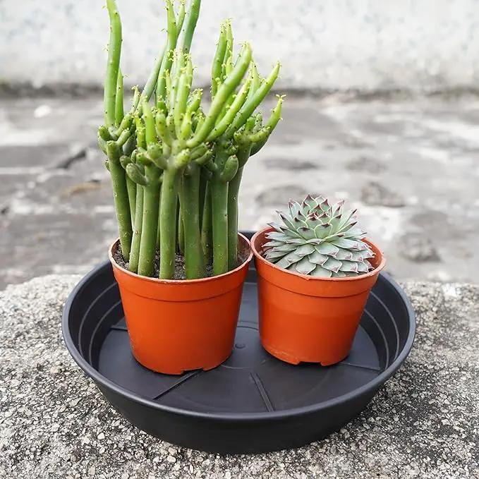 4 Packs 8 Inches Plant Saucer Drip Trays, Round Plastic Plant Pot Saucers Flower Pot Tray for Indoor Outdoor by GreenHaven Gardens