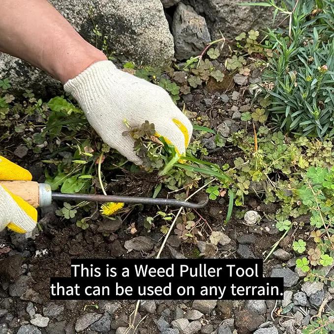 Korean Weed Puller Tool,Root Removal,Garden Weeder for Lawn&Flower Bed Maintenance,Portable Garden Weeder Tool,For Hand Weeder Puller for Vegetable Gardening Backyard Farm Planting Weeding Tool by GreenHaven Gardens