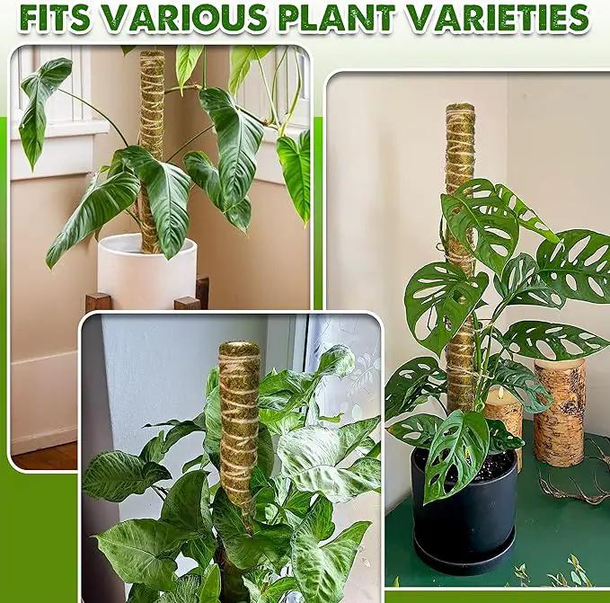 DUSPRO Natural Stackable Moss Pole for Plants Monstera Potted Plant Stakes for Indoor Plants Extendable Plant Pole Moss Sticks for Plants Climbing Vine Supporting Monstera Trellis 4Pcs 22'' by GreenHaven Gardens