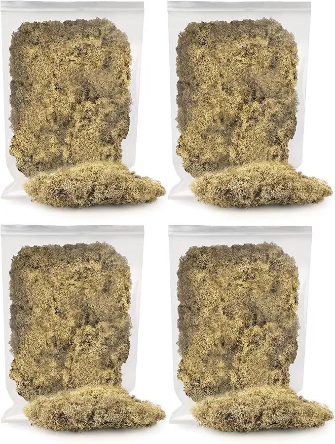 Premium Preserved Reindeer Moss for Potted Plants, Terrariums, Fairy Gardens, Arts and Crafts or Floral Decor Design in Natural (20 Quart) by GreenHaven Gardens