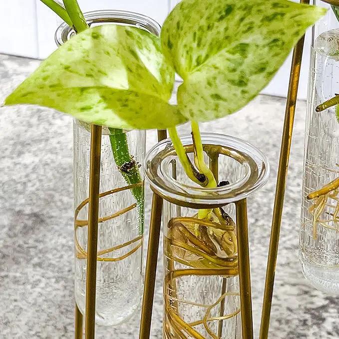 Propagation Station Terrariums with Gold Metal Stand - Kate Aspen 3 Glass Test Tube Planters for Indoor Plant, Air Plants, Plant Clippings, Cut Flowers, Herbs, Succulents | Home Decor Table Decoration by GreenHaven Gardens