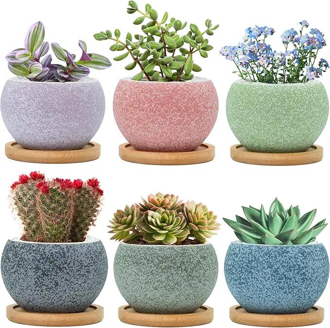 3 inch Ceramic pots for Plants, Small Succulent Pots Set with Drainage, 6 Pack Flower Pot for Indoor Plant, Decorative Planters for Little or Mini Cactus by GreenHaven Gardens
