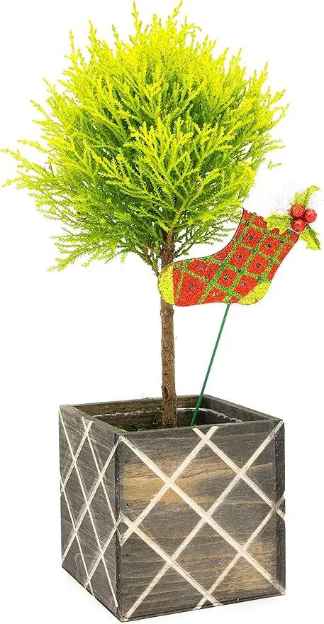 Wood Planter Box with Diamond Cross Hatch Style, 5 Inch Square, Rustic Barn Wood, Plastic Liner, Wedding Flowers Holder, Home and Venue Decor (5x5 Diamond Cross Hatch Set of 4, Natural) by GreenHaven Gardens