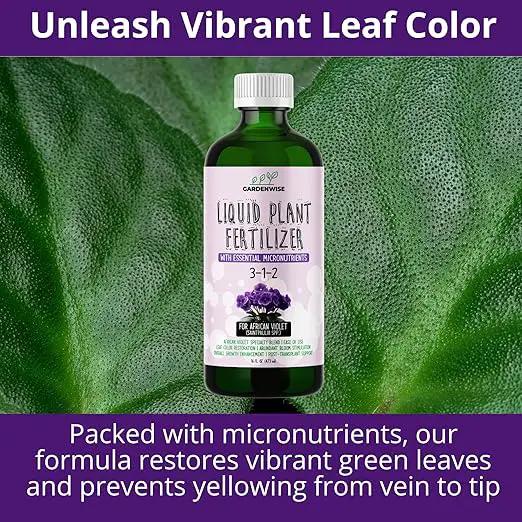 3-1-2 African Violet Fertilizer for Indoor Plants: Liquid Fertilizer with Essential Micronutrients Drops - Plant Food for African Violets (8 oz) by GreenHaven Gardens
