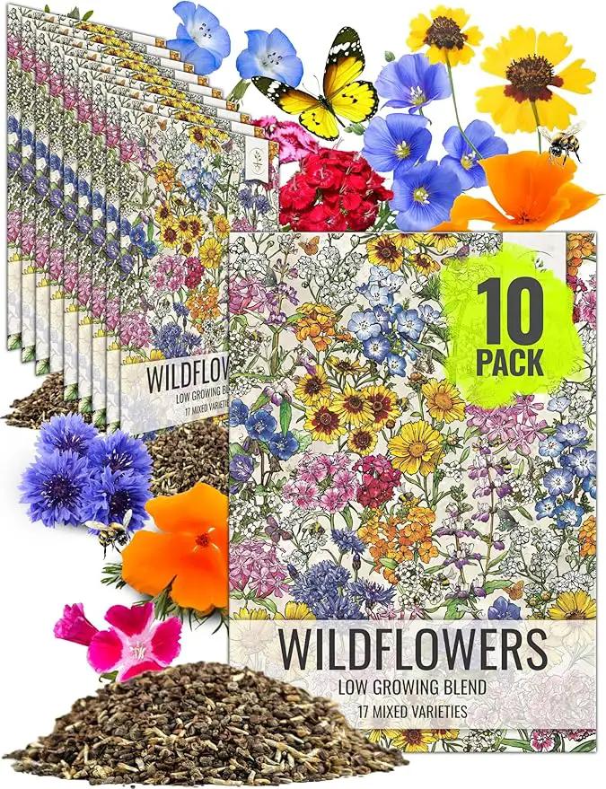 Seed Needs Low Growing Wildflower Flower Seeds for Planting | 10 Packs (1 Ounce Each) Mixture/Blend 17 Varieties | Resealable Package Multicolored Blooms Open Pollinated Mixed Species | Bulk by GreenHaven Gardens