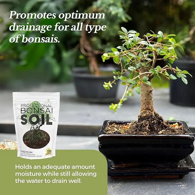 Bonsai Soil Premium All Purpose Blend | Pre-Mixed Ready to Use for Fast Drainage | Large 2.2 Quarts | Lava, Limestone Pearock, Calcined Clay and Pinebark | Made in USA by GreenHaven Gardens