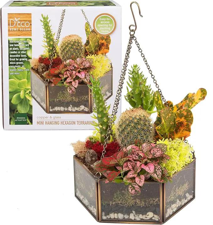 Deco Glass Geometric DIY Terrarium, Succulent & Air Plant- Hanging Mini Hexagon Shaped for Indoor Gardening Decor- Create Your own Flower, Fern, Moss Centerpiece- Amazing Holiday and Wedding Gift by GreenHaven Gardens