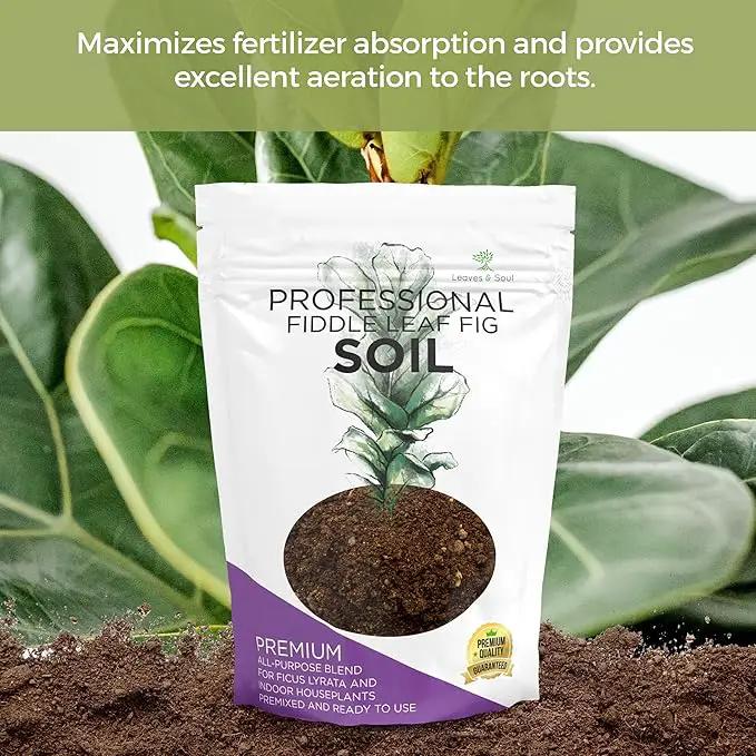 Large Bag Houseplant Fiddle Leaf Fig Soil Premium All Purpose Blend | Ready to Use for Indoor Houseplants | Peat, Sawdust, Course Sand and Pinebark | Extra Large 8.2 Quarts | Made in USA by GreenHaven Gardens