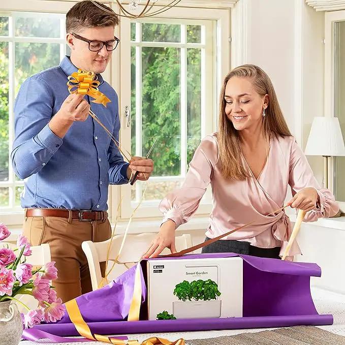 Click & Grow Indoor Herb Garden Kit with Grow Light | Smart Garden for Home Kitchen Windowsill | Easier Than Hydroponics Growing System | Vegetable Gardening Starter (3 Basil Pods Included), White by GreenHaven Gardens