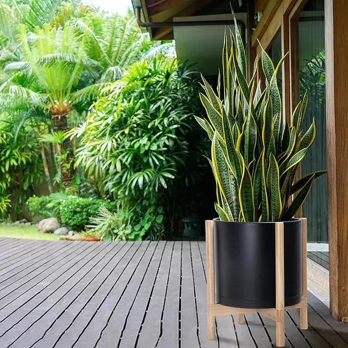 D'vine Dev Planter Pot with Stand - 14 Inch Plastic Cylinder Flower Pot with Wood Planter Holder for Indoor, Matte Black Pot + Natural Stand, 55-C-S-2 by GreenHaven Gardens