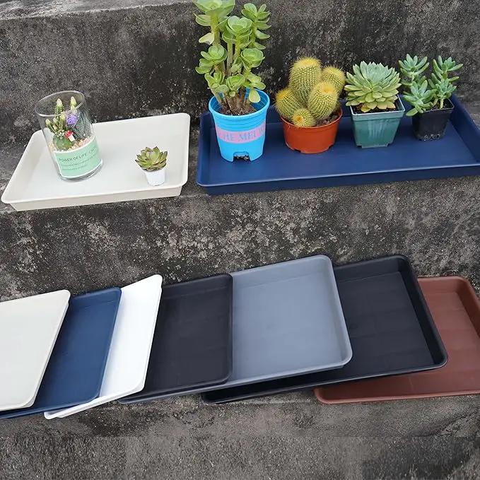 2 Pack Plant Growing Nursery 1020 Trays, Plant Saucer Tray, Heavy Sturdy Seed Starting Trays, Plant Saucer for Indoors No Holes, Seed Starter Growing Tray (22"x11.2", Black) by GreenHaven Gardens