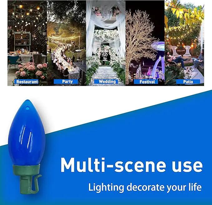C9 Christmas Lights Outdoor 50 LED Blue Strawberry Waterproof String Lights Xmas Tree Indoor Decoration Plug in 34.5 Feet Used for Home Festive Courtyard Patio Garden(Blue) by GreenHaven Gardens